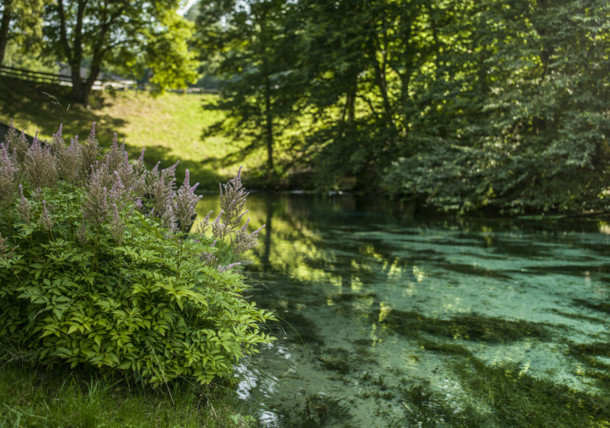     Kék-forrás (Blaue Quelle), Ausztria 